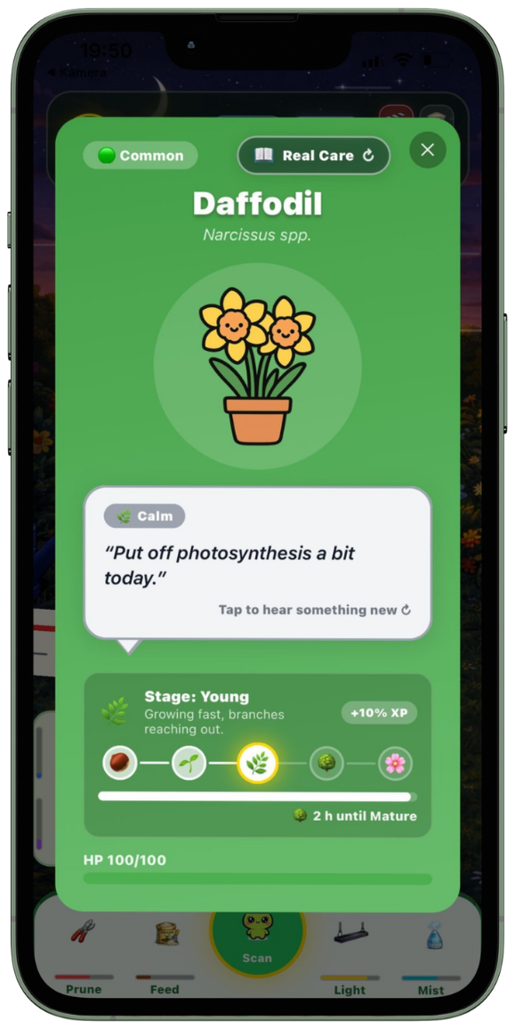 Chloris plant card with real care